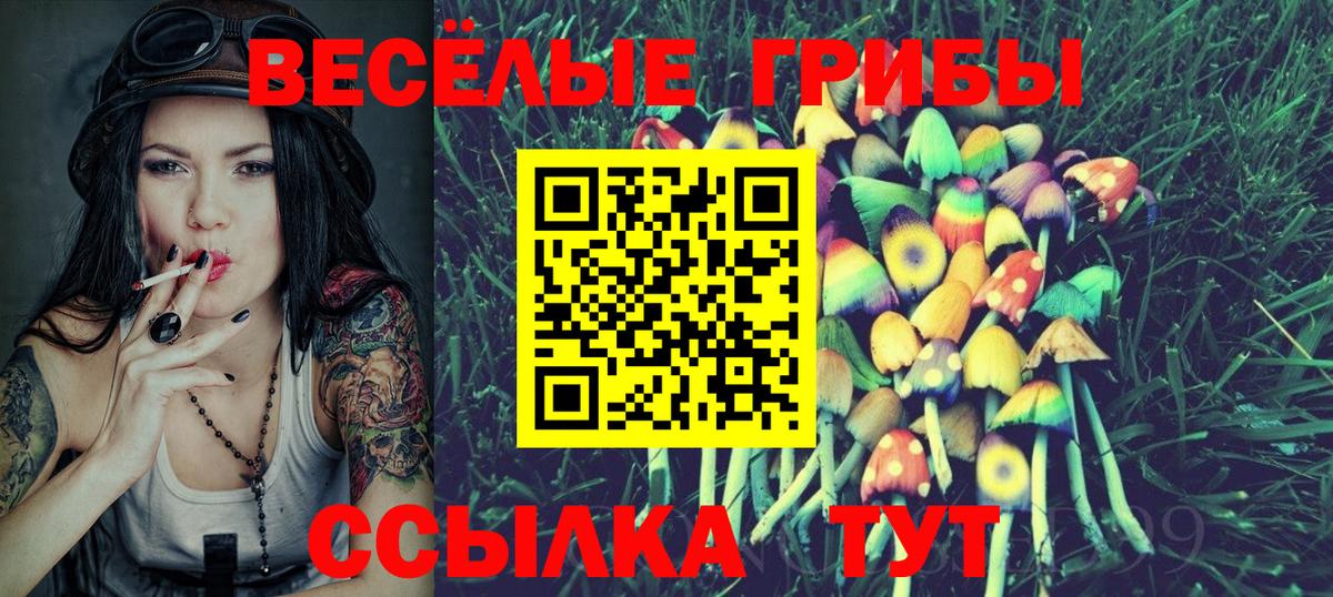 Галлюциногенные грибы MAGIC MUSHROOMS Пятигорск