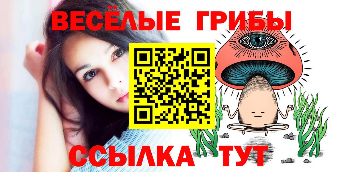 MDMA  Гашиш  Cocaine  Пятигорск  NBOMe  Марихуана  Мефедрон   ГАШ 