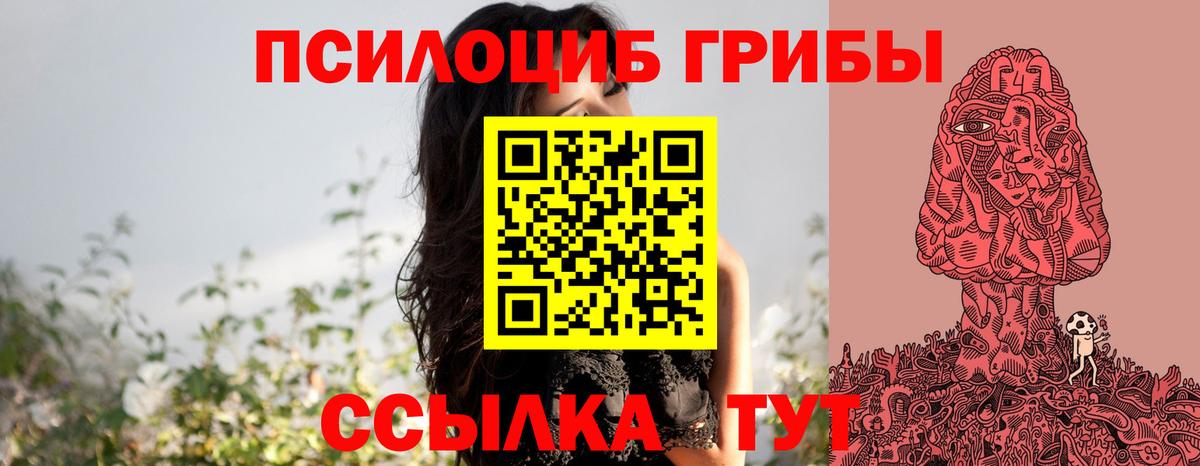 Пятигорск  Галлюциногенные грибы Psilocybe  Псилоцибиновые грибы прущие грибы  Вход с VPN 