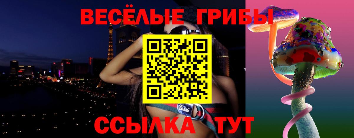 как найти наркотики  Пятигорск  Псилоцибиновые грибы Cubensis 